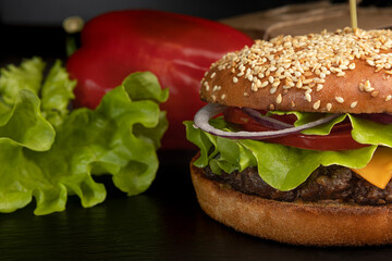 burger on dark background with french fries