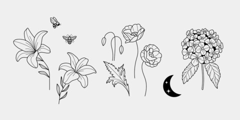 Hand drawn elegant hydrangea, lily and poppy flowers, honey bee and moon. Set of aesthetic floral elements, moon and bee, perfect for logo design and branding. Night garden. - obrazy, fototapety, plakaty