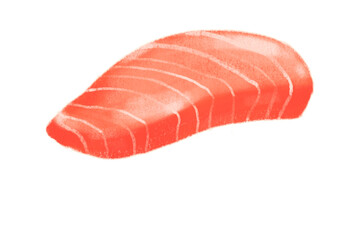 Japanese food raw fish tuna toro sashimi hand drawing illustration painting