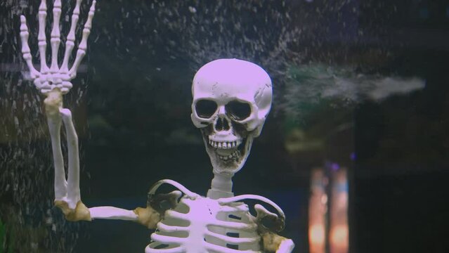 A human skeleton sits at the bottom of an aquarium