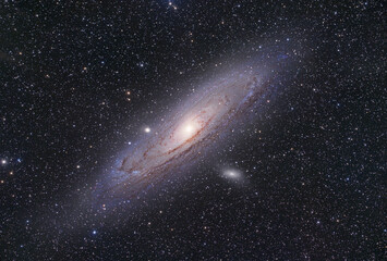 Obraz na płótnie Canvas m31 Grand galaxie d'andromede, / Greant andromeda's galaxy