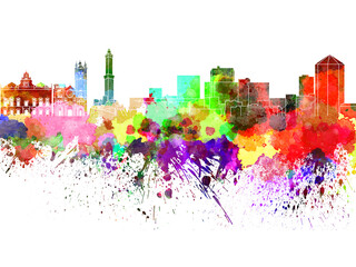 Fototapeta premium Genoa skyline in watercolor on white background