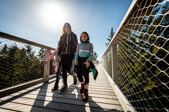 Family People Walking Wooden Treetop Bridge Canopy Walkway In Winter.