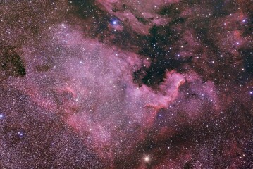 NGC7000, North America Nebulae