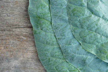 Chinese Kale  is grown as a vegetable garden. It is a popular leafy vegetable. Both small and large...