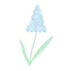 flowers in a vase, basket, easter illustration isolated, design and print