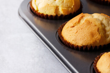 Delicious fresh homemade muffins in a baking tray. Tasty sweet breakfast, homemade cakes.