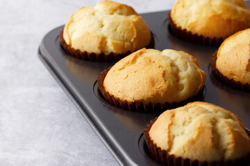 Delicious fresh homemade muffins in a baking tray. Tasty sweet breakfast, homemade cakes.