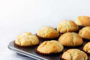 Delicious fresh homemade muffins in a baking tray. Tasty sweet breakfast, homemade cakes.