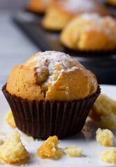 Homemade muffin against the backdrop of a baking tray.