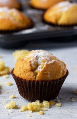Homemade muffin against the backdrop of a baking tray.