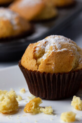 Homemade muffin against the backdrop of a baking tray.