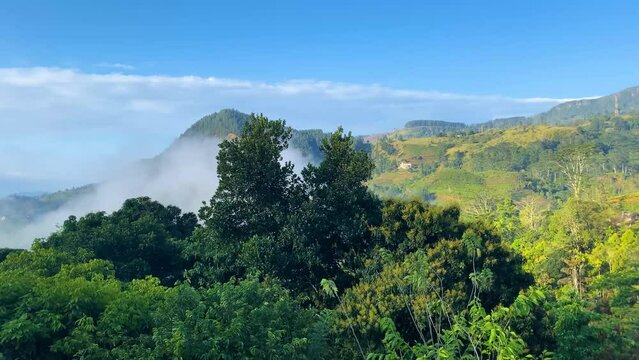 Sri Lanka cloudy morning at huluganga knuckle mountains time lapse