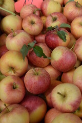 Äpfel, apples