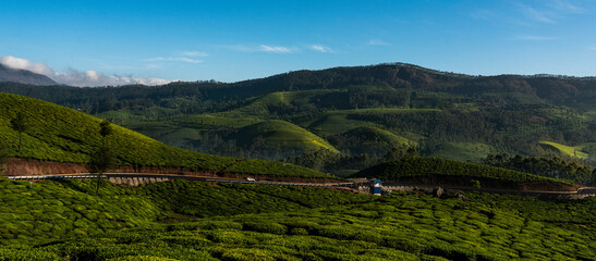 Beautiful landscape view during summer time, Munnar tea garden scenery