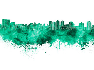 Obraz premium Halifax skyline in green watercolor on white background