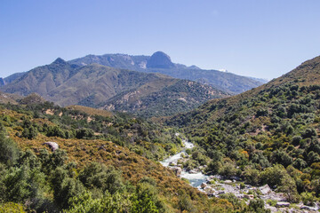 Fototapeta premium Mountains and forest
