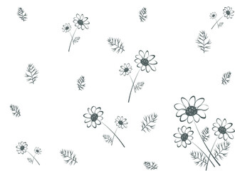 Chamomile Pattern vector illustration. Chamomile Flowers Botanical background for print on packing and textile