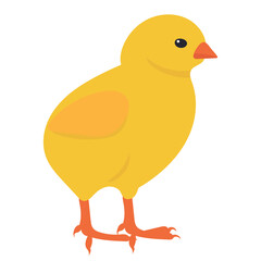 chicken flat design, isolated, vector