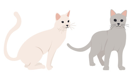 Fototapeta premium cats flat design, isolated, vector