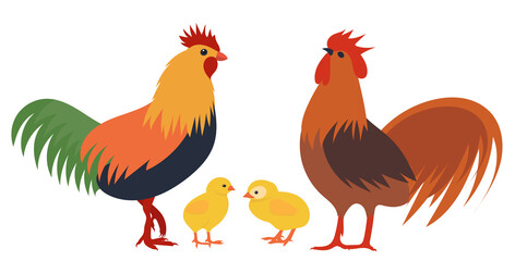 roosters and chicks flat design, isolated, vector