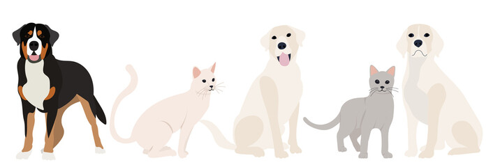 cats and dogs flat design, isolated, vector