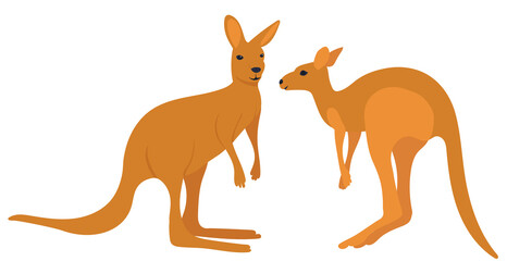 kangaroo flat design, isolated, vector