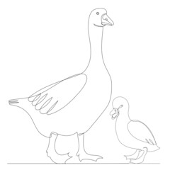 goose drawing by one continuous line, sketch