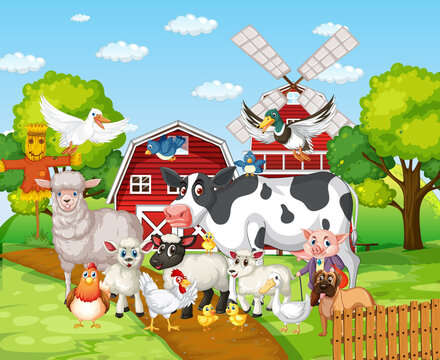 Many farm animals in the farm