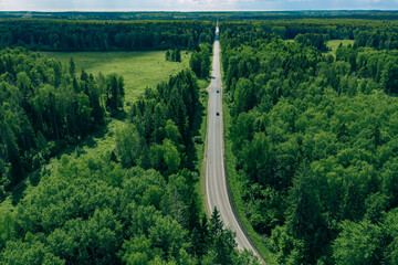 Aerial view of country road in green summer woods