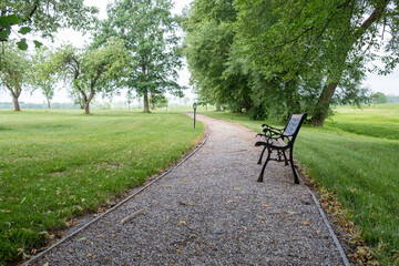 A lonely bench in the summer park