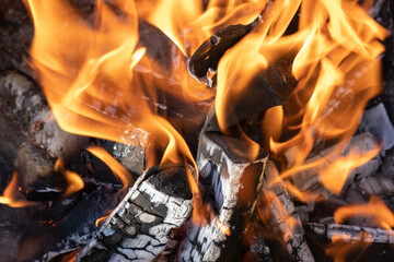 Open fire burning woods background