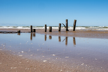 Baltic seaside view in summer