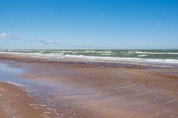 Baltic seaside view in summer