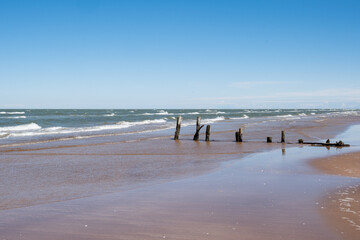 Baltic seaside view in summer