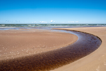 Baltic seaside view in summer