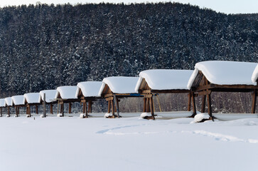 An even row of houses for a picnic in nature. Everything is covered with snow.