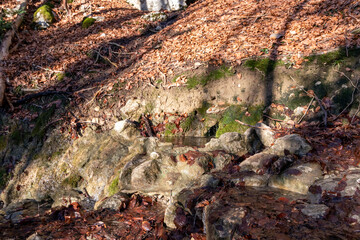 Natural source on the hiking trail to Mont Veyrier and Mont Baron, a scenic mountain hike in Annecy, France