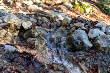 Natural source on the hiking trail to Mont Veyrier and Mont Baron, a scenic mountain hike in Annecy, France