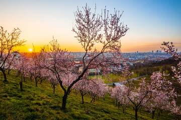 Petřínské sady is the collective name for the park on the north-eastern slope of Petřín