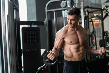 Fototapeta na wymiar Muscular man working out in gym, strong male torso abs.