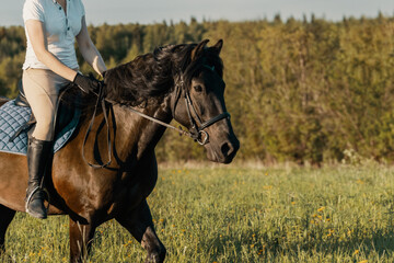 Fototapeta premium Horse with female rider upon back running in field.