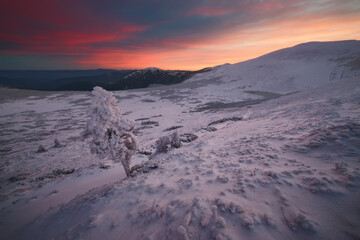 Frozen .. Beautiful morning in the Carpathian mountains