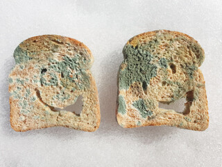 Two isolated slices of moldy bread with eyes and mouth lie on the white snow.