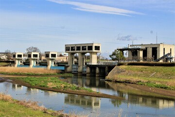 権現堂桜堤の越流堰