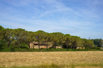 San Filippo a Ponzano, old village in Tuscany