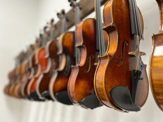 Row of multiple violins with white background hanging on the wall, musician workshop