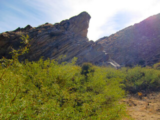 Obraz premium national park in U.S アメリカカリフォルニア