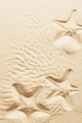 Fototapeta na wymiar Seashells on the sand, beach background, top view
