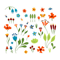 Set of differernt bright flowers and bugs. Vector illustration.